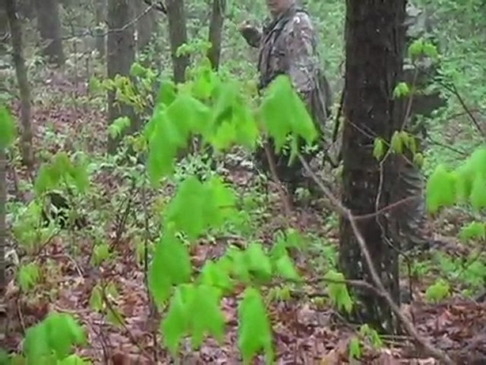 Lisa MO Ozarks day 1 timber hunt