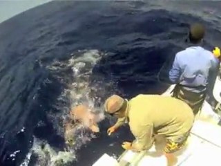Underwater Mako Shark Attack