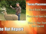 Rut Report: Decoy Placement