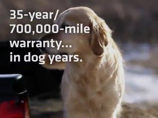 Silverado DOG 640x480 FINAL