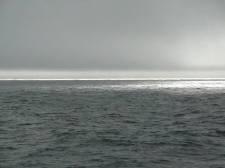 CRUISE (VIKTORIA)-2010 058