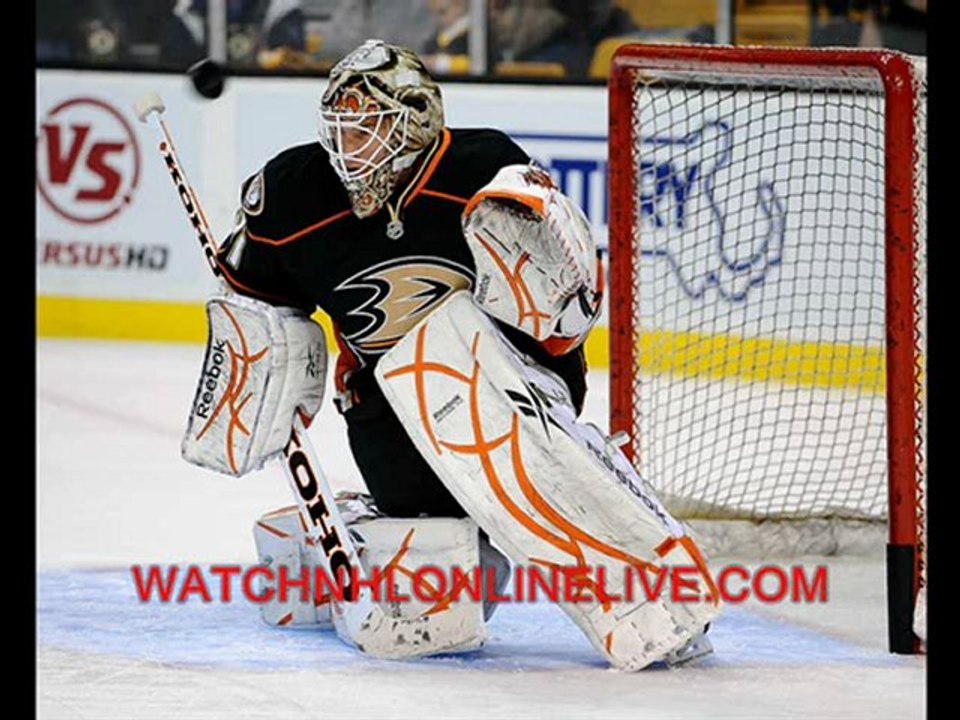 watch Edmonton vs Toronto  Live Match Today