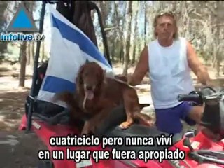 Adrenalina en cuatro ruedas