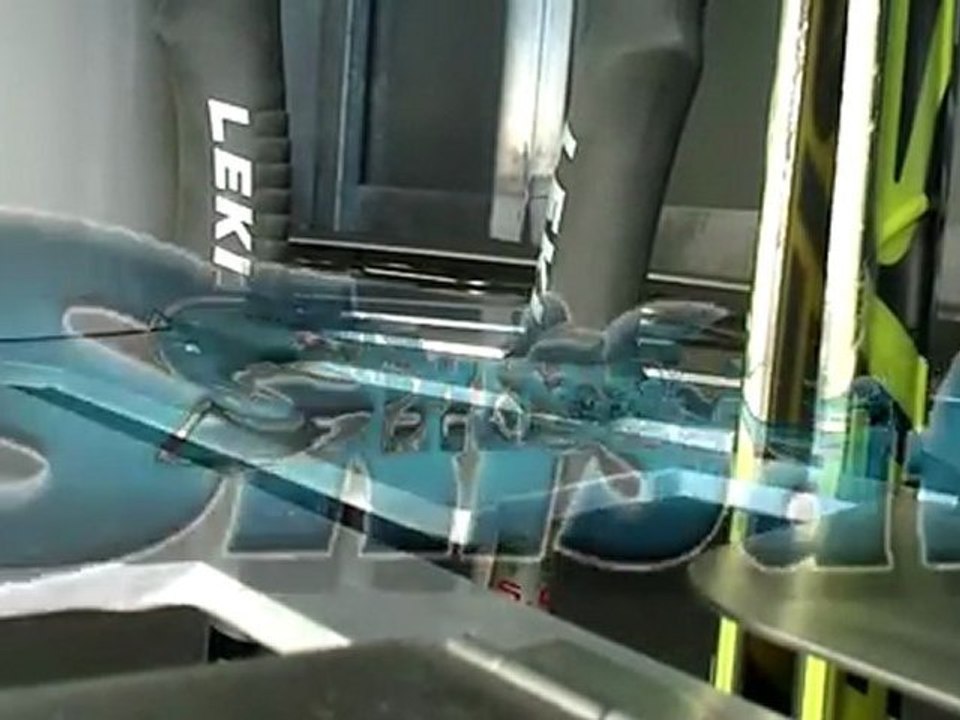 Skisafe Electronic 2012