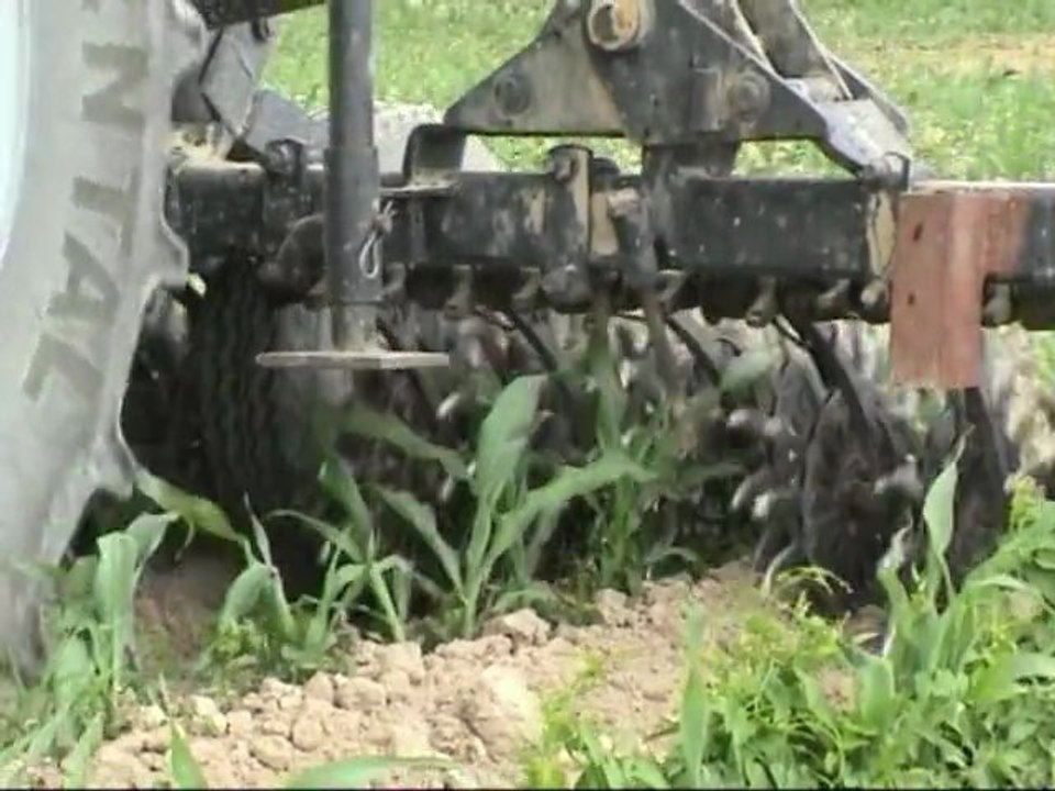 desherbage_alternatif