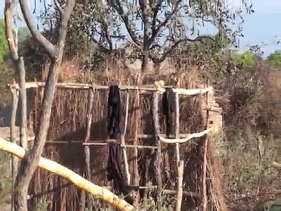 Zambilila report 1