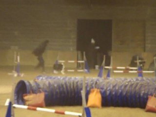 Concours Tichemont 2012 - Les borders