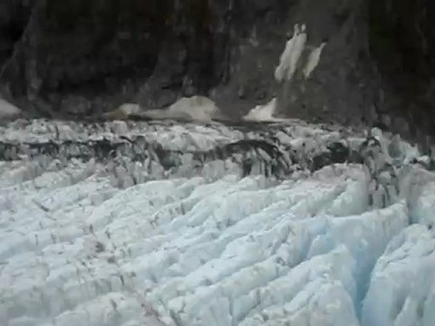Survol de Franz Josef Glacier