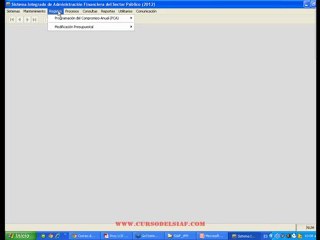 CURSO TALLER SIAF 2012 (2da Parte)