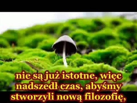 A co gdybyśmy wszyscy zjedli magiczne grzybki napisy-PL