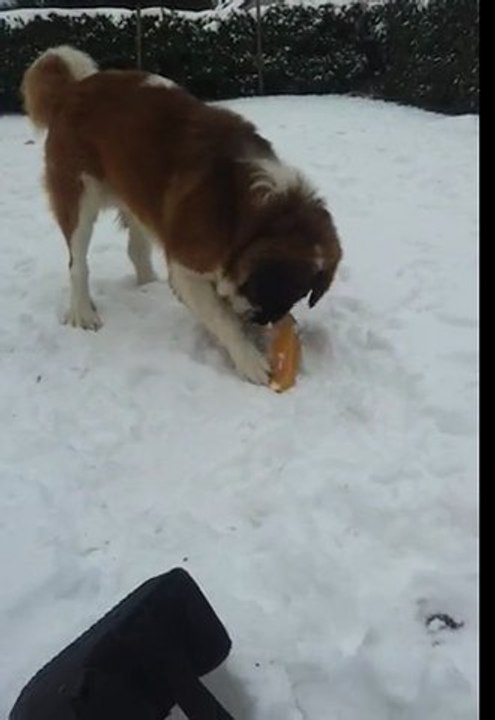 video-2012-02-06-17-02-43
