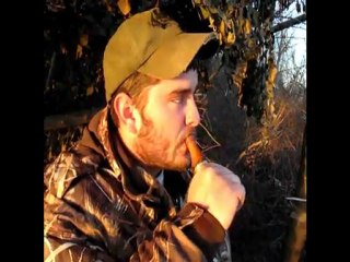 Ryan Nolan: Feeding Call