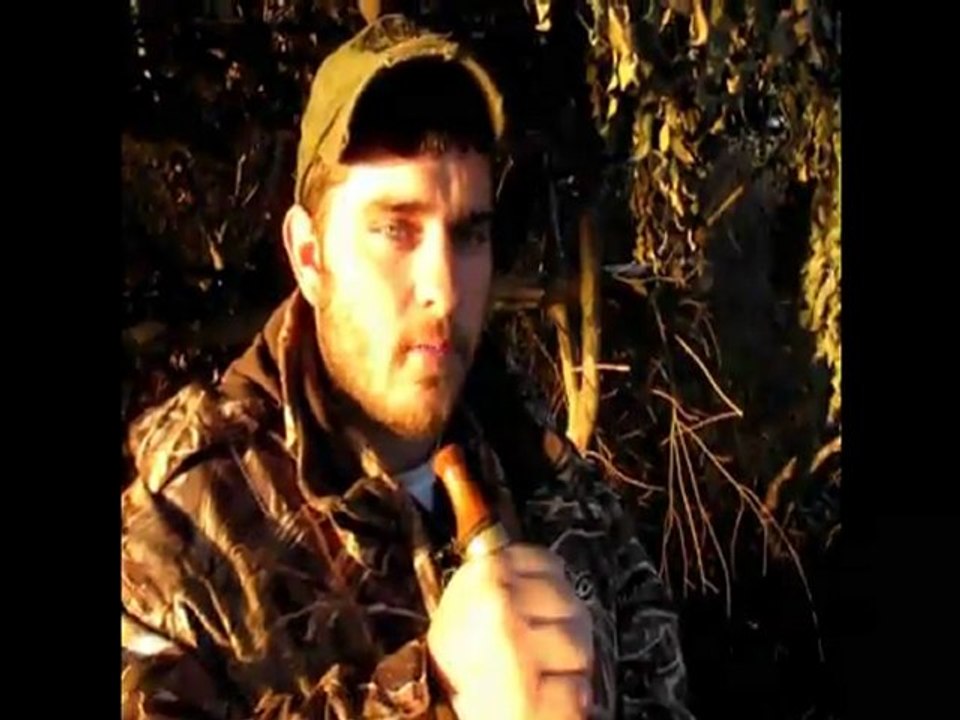 Ryan Nolan: Hen Quack