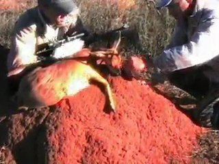 Grand Slam Africa - The Conclusion