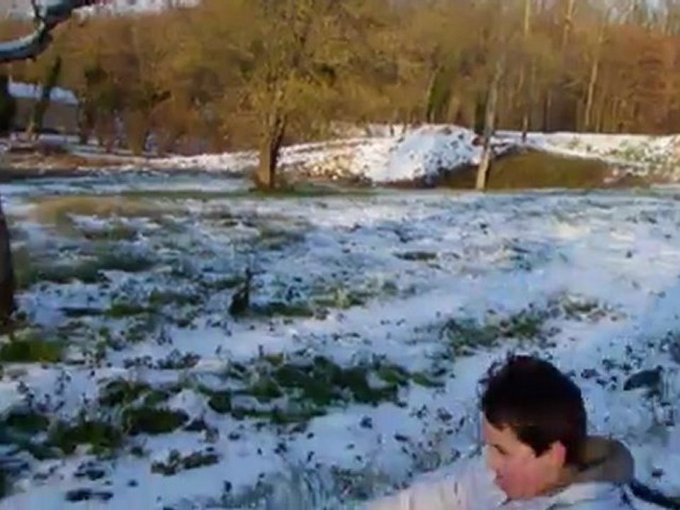 luge