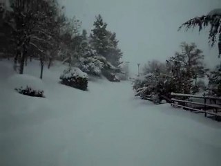 55cm a fossombrone!!!