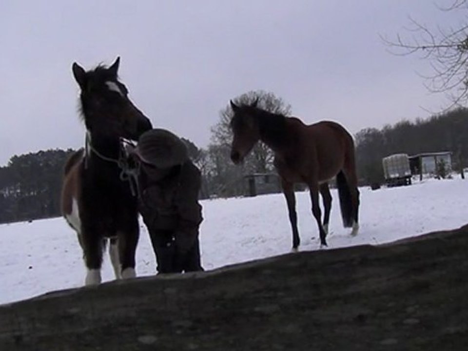 bokaidy seance etho 2 debut liberté...