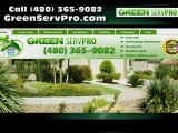 Landscaping in Chandler AZ Green ServPro Landscape