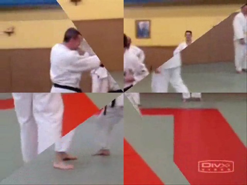 tai jitsu