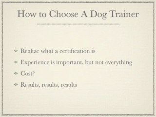 Salt Lake City Dog Trainer