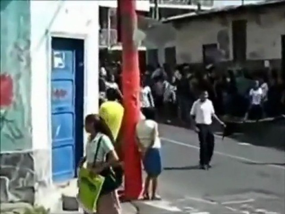 Seca Adegas na pinga