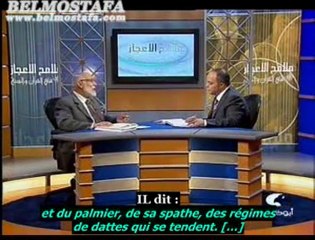 [Ep.4] LES PALMIERS ET LES DATTES Part.1 2