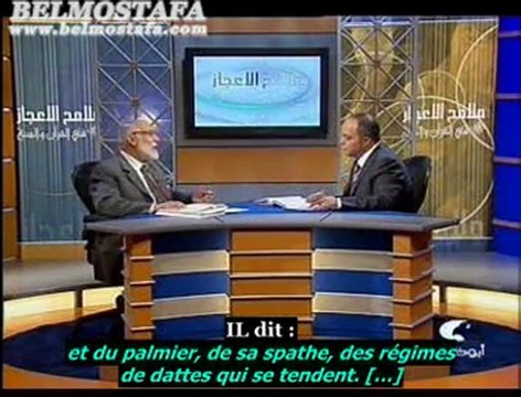 [Ep.4] LES PALMIERS ET LES DATTES Part.1 2