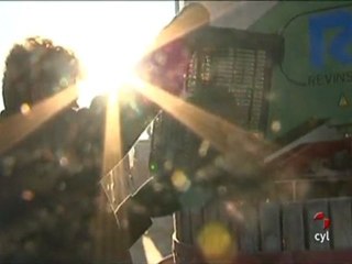 vendimia vino de hielo 2012