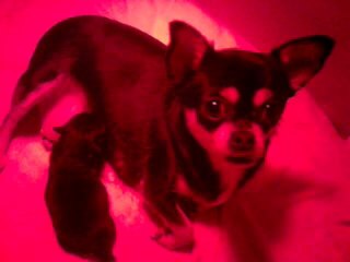 Romance et son bébé l'heure de la tétée