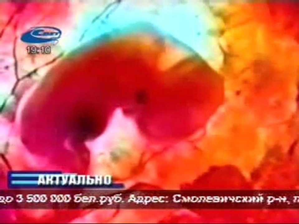 Актуально 06-02-12