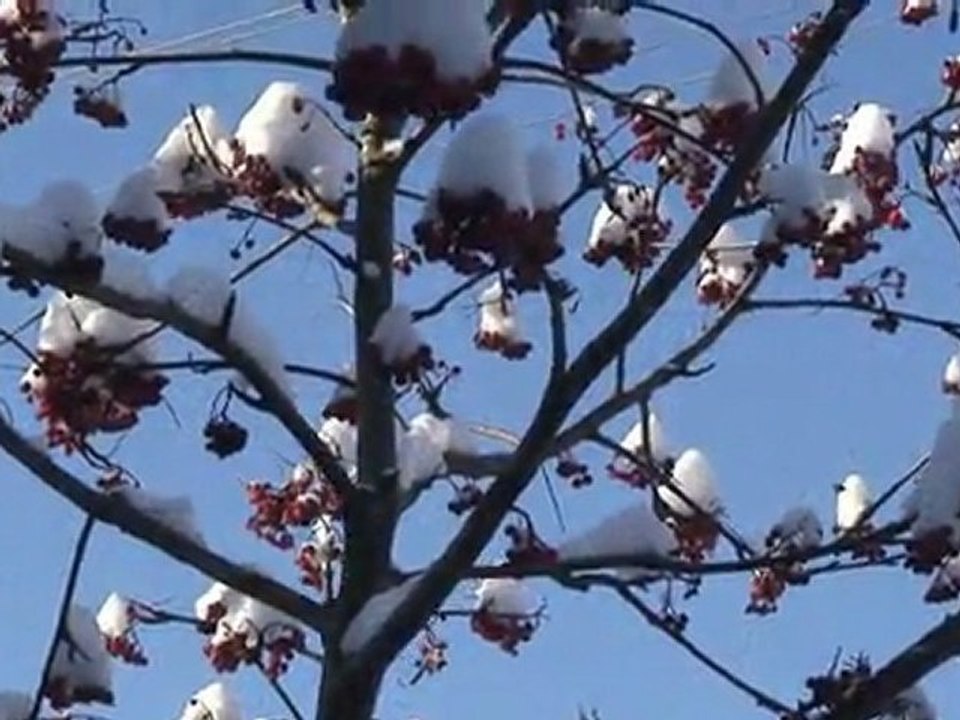 Зимн.сказка