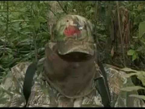 Outdoor Life Turkey Grand Slam