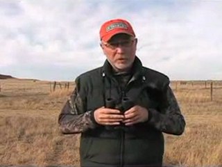 How to focus a pair of field binoculars