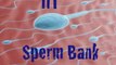 IIT Sperm Bank & Approved Sex Toys