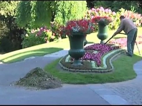 ETESIA Pro 53 Professionnal propelled mower 53cm