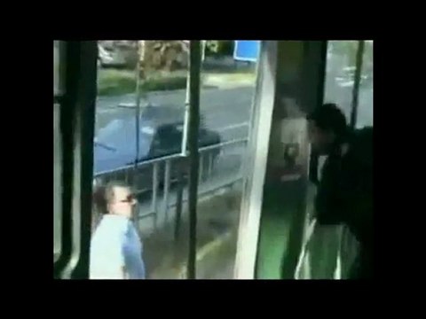 веселое безумие