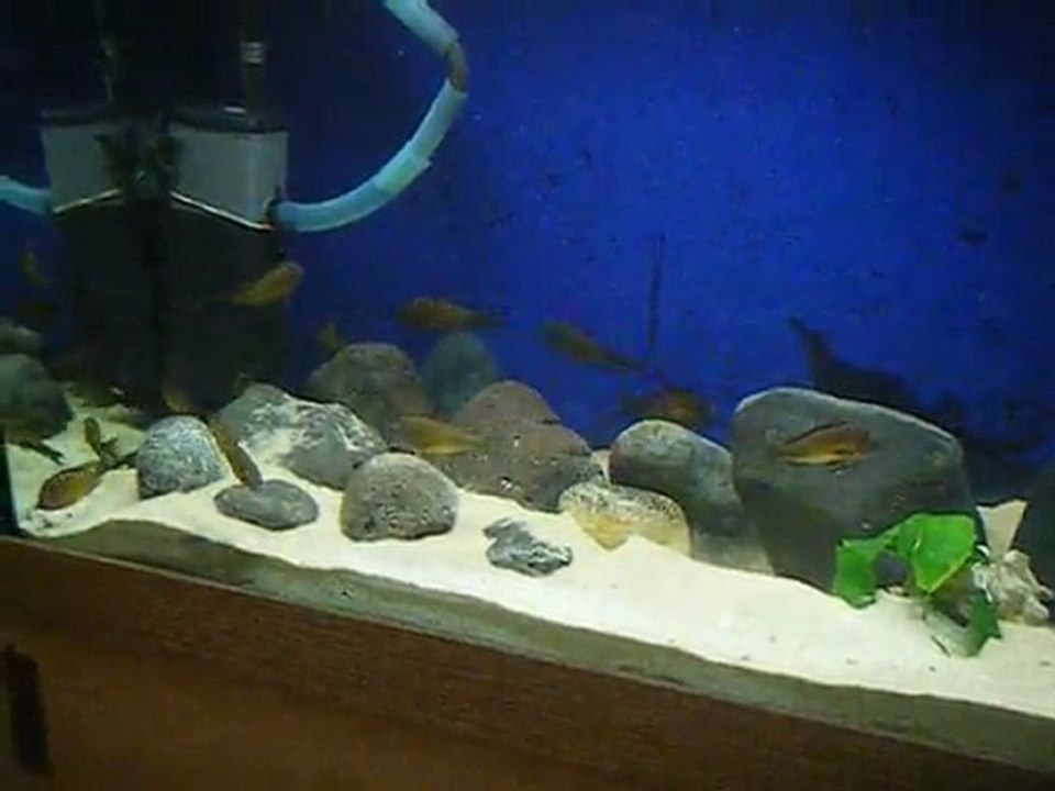 DSCF4355