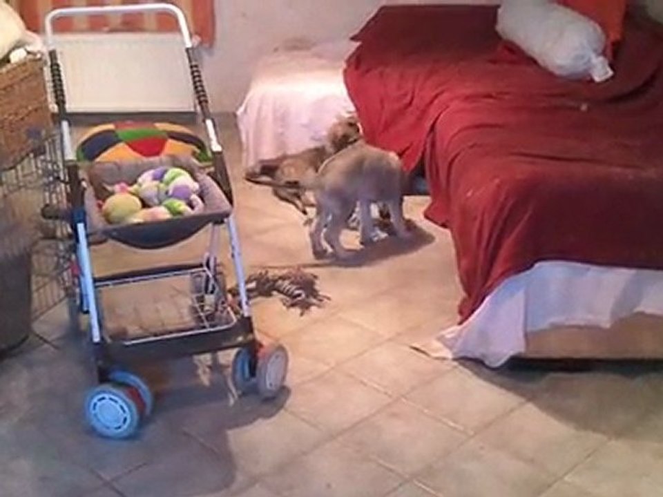 BB Indiana novembre-2 mois