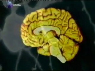 Experiencia extracorporea: ¿Vida mas alla de la muerte?