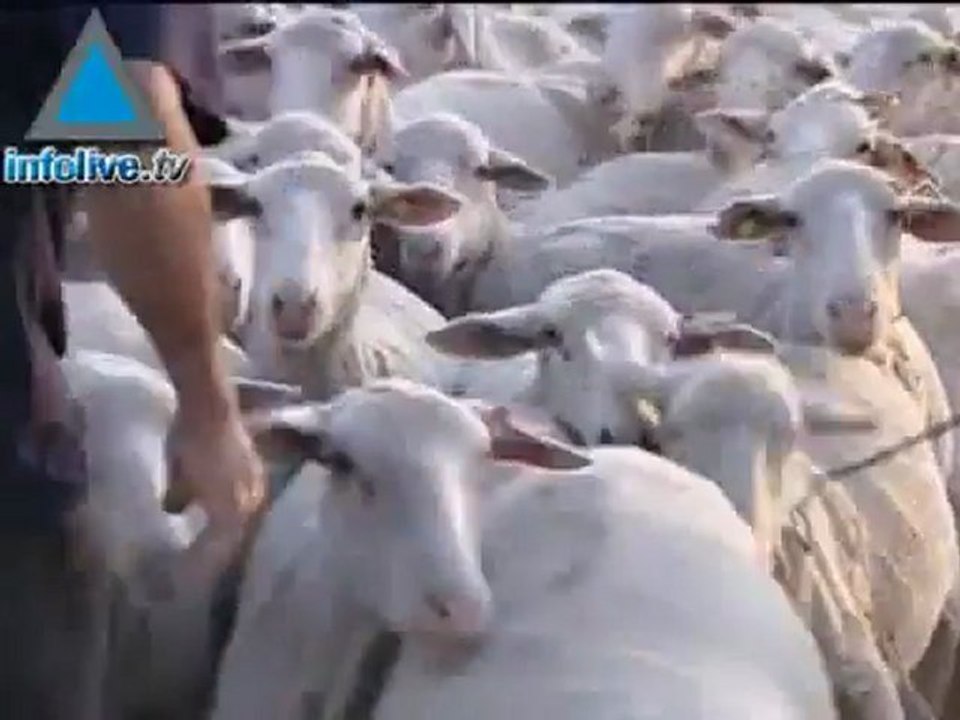 Paz en las Alturas