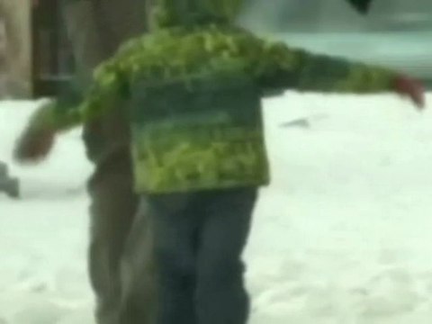 Sigue la ola de frío en Europa: La nieve y el hielo congelan el lago de Ginebra