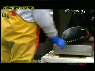 Sword - Life On Line - 7th Feb 2012 - Part3