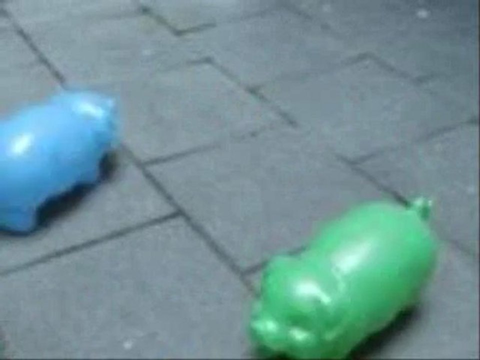 Running of pigs