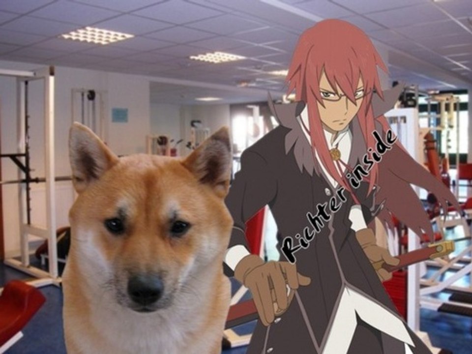Tales of Symphonia 2-19/ ok you're a dog