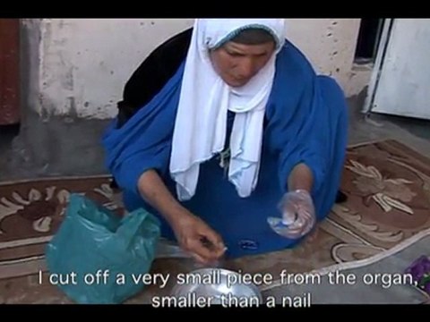 Atelier DoKu : Ashes