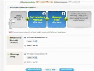 Voice Broadcasting and Video Broadcasting Services