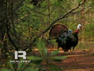 Tyler Jordan Calling