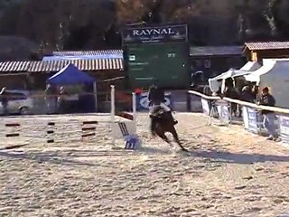 mathilde-gabelou poney 2 meyreuil 2012