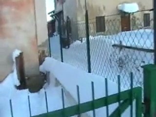 Nevicata 3-4 febbraio 2012