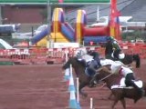 Championnat d'europe de pony games Irlande Finale A part 2 (1)